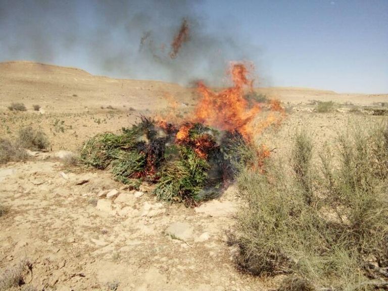 المضبوطون في مداهمات الجيش المصري بسيناء