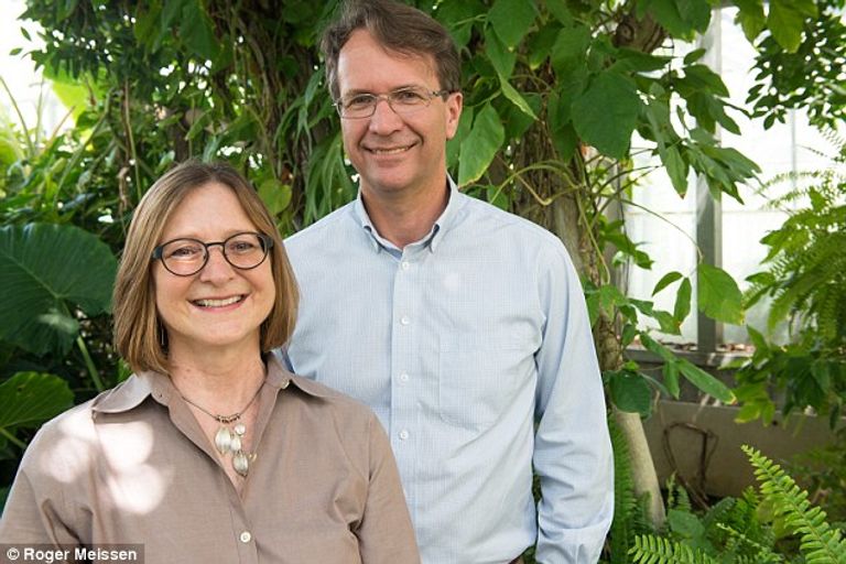 الخضروات تمتلك حاسة سمع وتشعر عندما تؤكل 