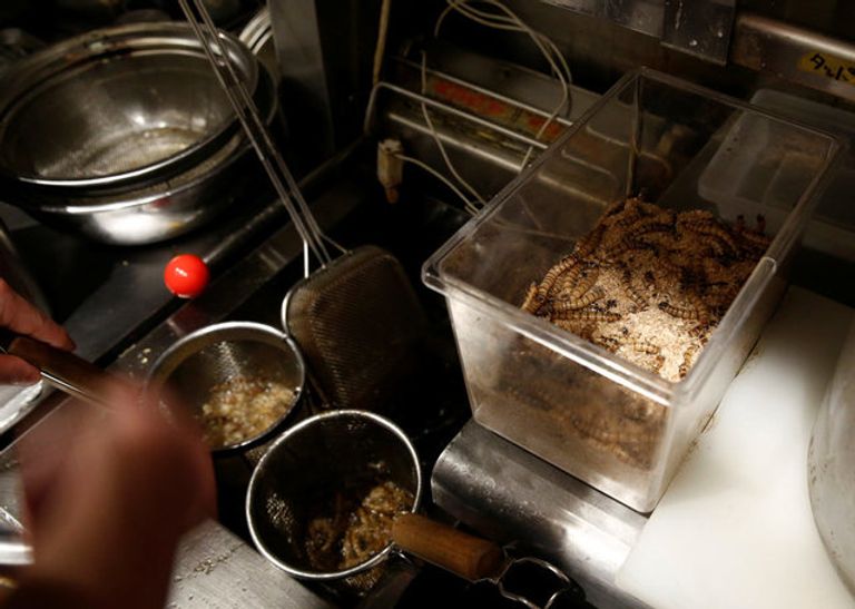 طهي الديدان بالخضروات قبل استخدامها لصنع لفائف الربيع