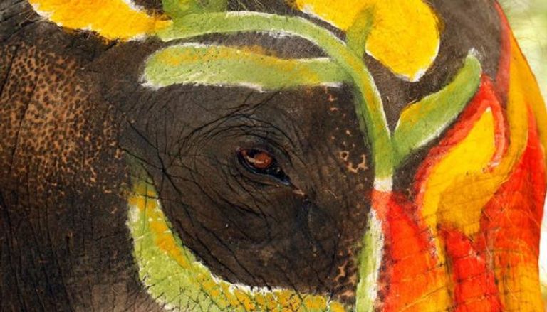 فيل ملون احتفالا بمهرجان سونغكران المائي