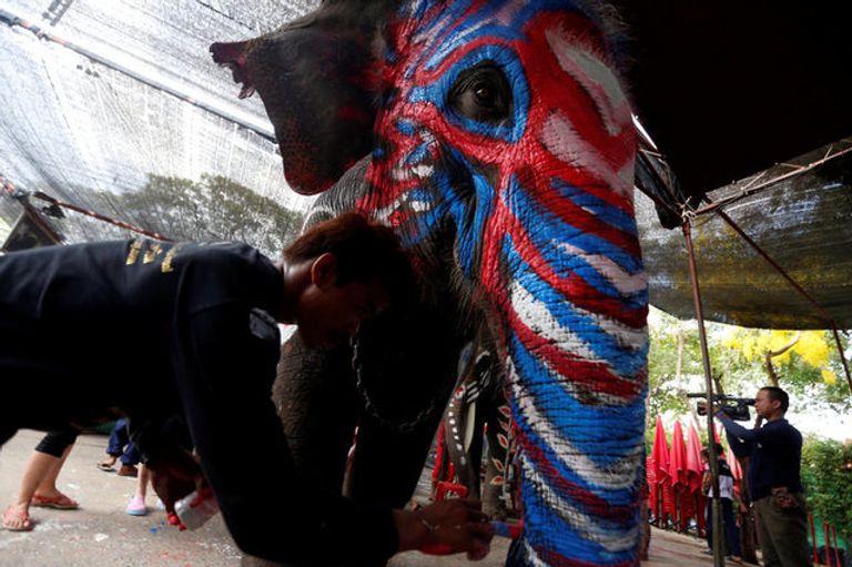 فيل ملون احتفالا بمهرجان سونغكران المائي