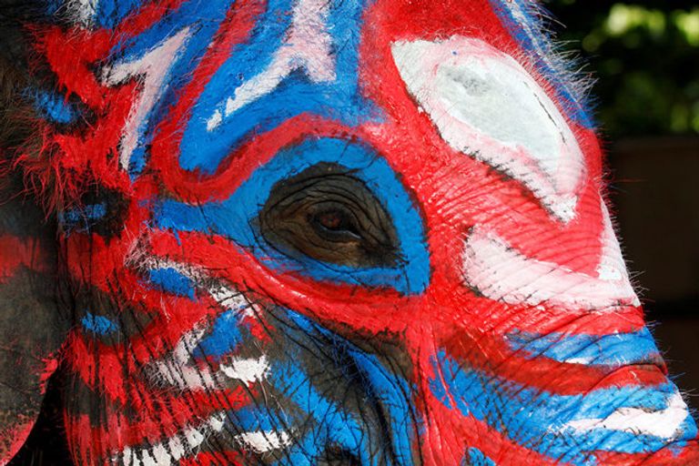 فيل ملون احتفالا بمهرجان سونغكران المائي