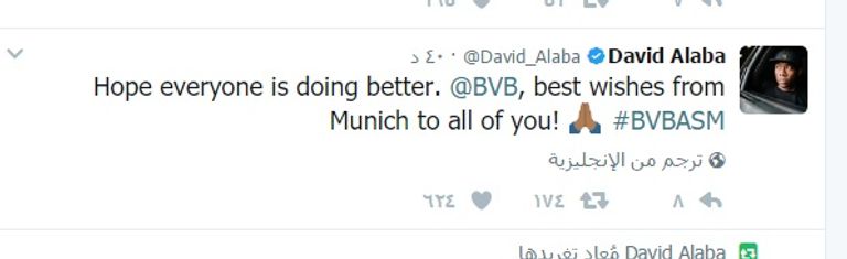 شعار بروسيا دورتموند