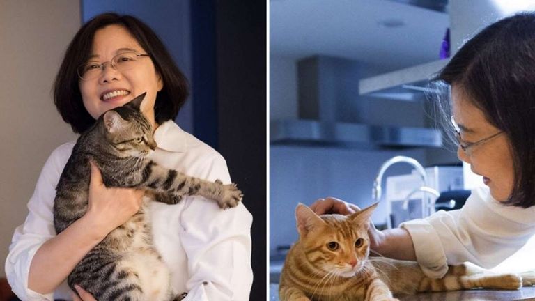 الكلاب ينظر لها كحيوانات أليفة وليس غذاء