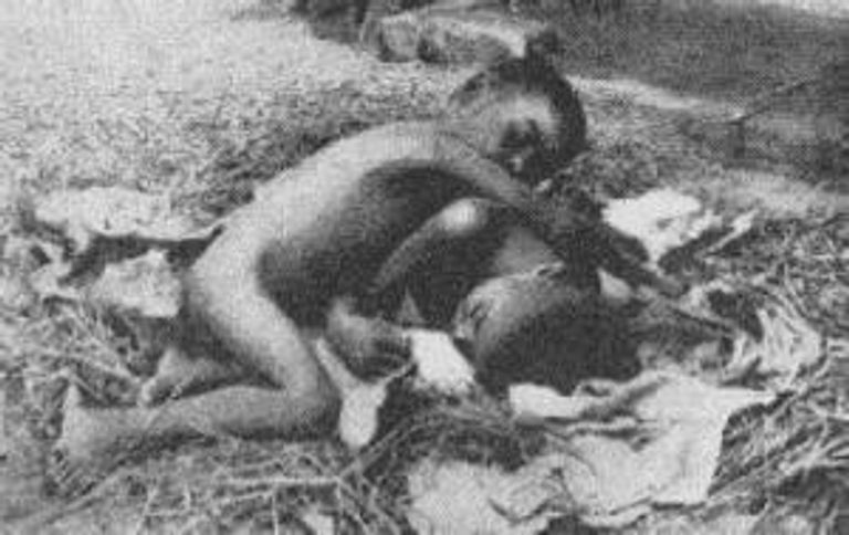 فتاة الأدغال الهندية