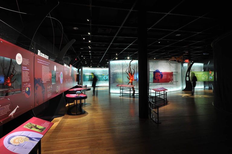 الشيخ الدكتور سلطان بن محمد القاسمي عضو المجلس الأعلى حاكم الشارقة