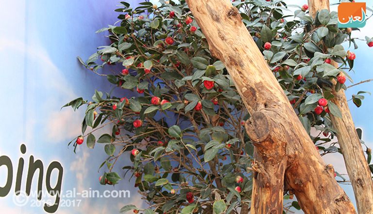 الاحتفال بأعياد شم النسيم عادة قديمة لدى المصريين