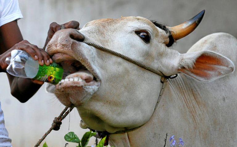 السنهاليون والتاميل يحتفلون برأس السنة السريلانكية- رويترز السنهاليون والتاميل يحتفلون برأس السنة السريلانكية