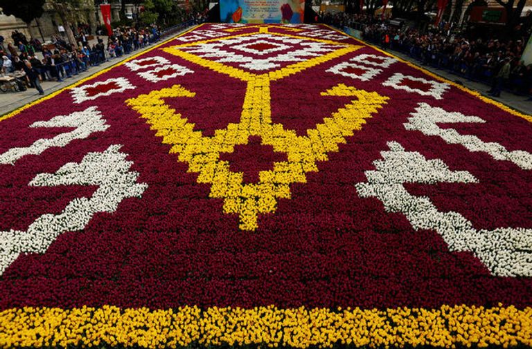 توليب مع النصب البيزنطي من آيا صوفيا في الخلفية، في ساحة السلطان أحمد