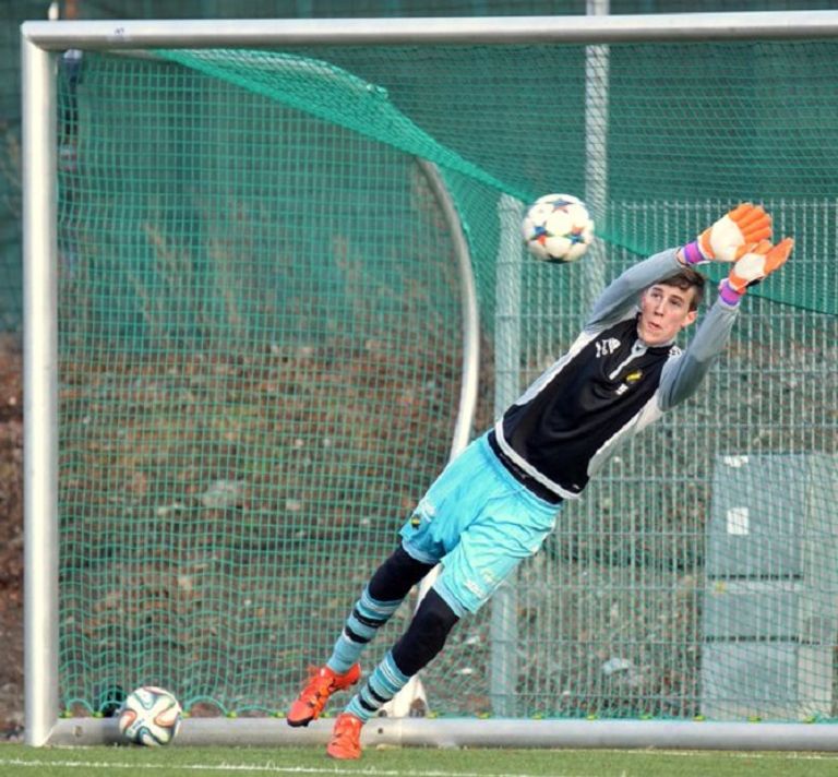 ديفيد دي خيا