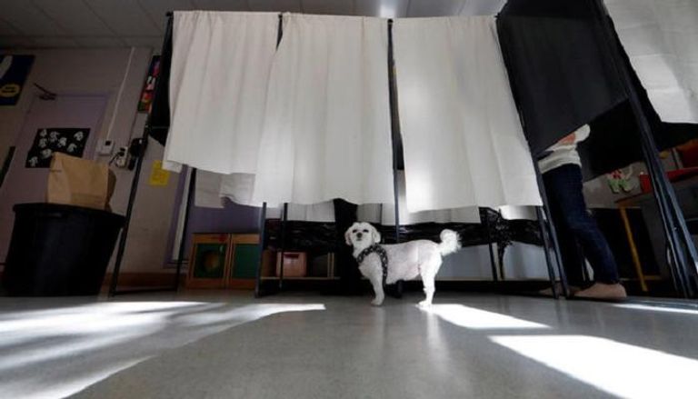 كلب في لجان الاقتراع في الجولة الأولى من انتخابات الرئاسة الفرنسية 
