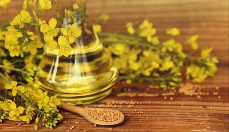 الأسماك غنية بالدهون الصحية