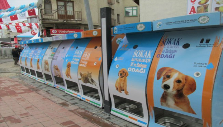 ماكينات لإطعام حيوانات الشارع بتركيا 