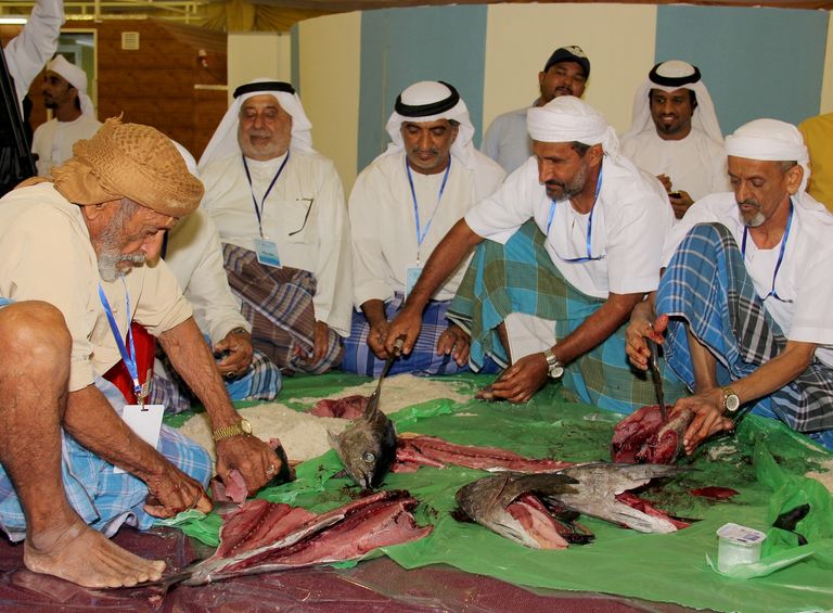 انطلاق المهرجان على ضفاف ميناء مدينة دبا الحصن