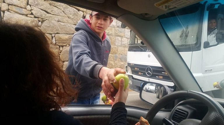 اعتصام مزاعي التفاح.. الصورة من الوكالة الوطنية للإعلام