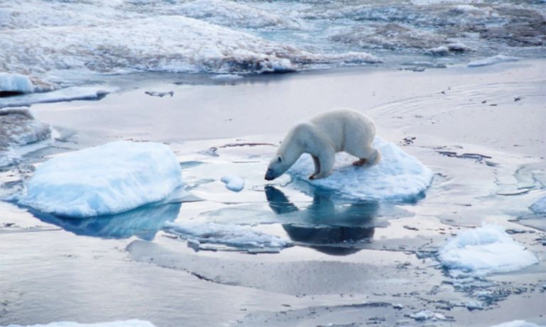 القطب الشمالي - صورة أرشيفية
