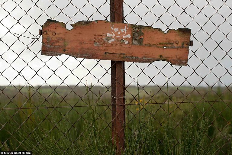 صورة أرشيفية