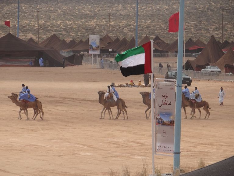 مشاركة إماراتية واسعة في موسم طانطان