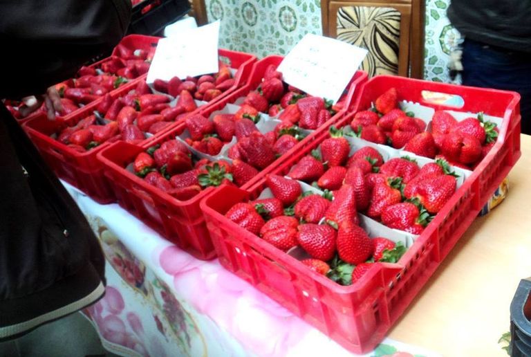 الفراولة الفاكهة المُدللة بعِيدَيْن في الجزائر