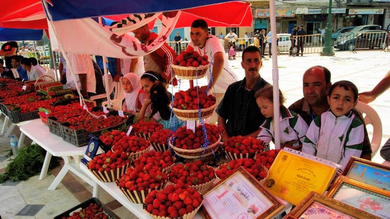 الفراولة الفاكهة المُدللة بعِيدَيْن في الجزائر