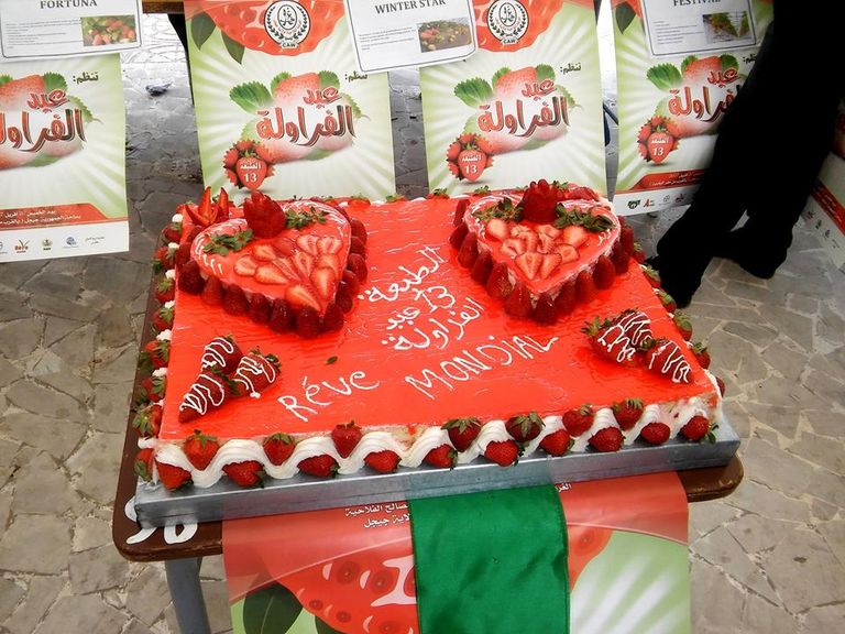 الفراولة الفاكهة المُدللة بعِيدَيْن في الجزائر