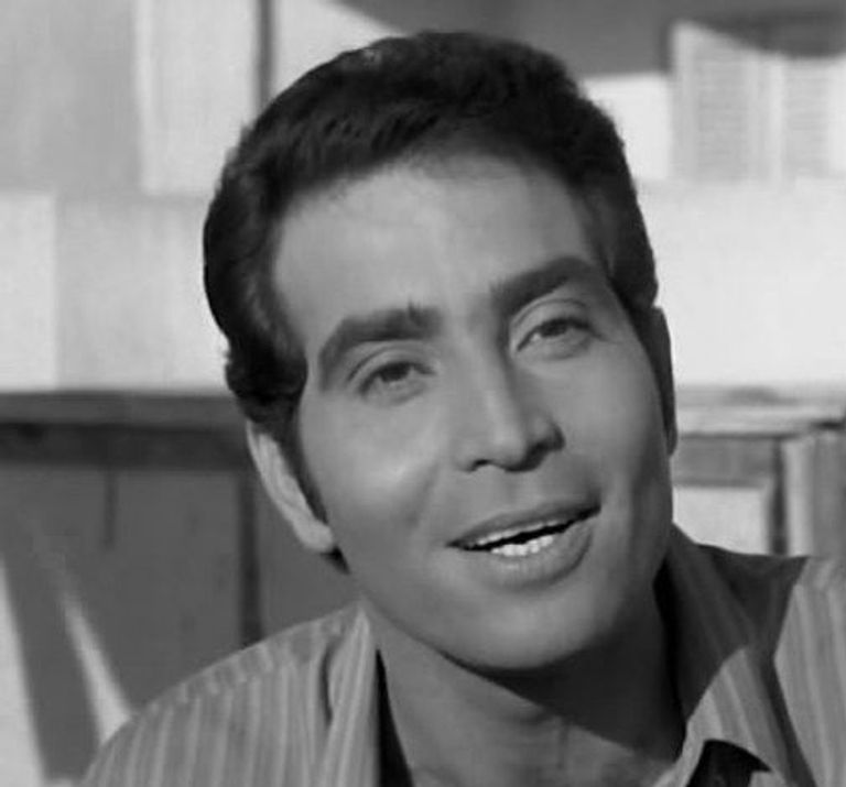 الفنان حسن يوسف