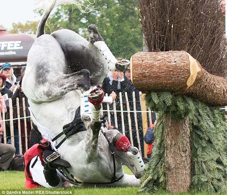 لحظة سقوط الحصان