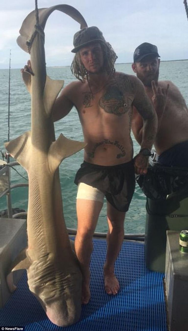 سمكة القرش بعد صيدها