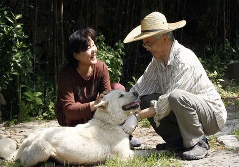 مون جاي- إن رئيس كوريا الجنوبية 
