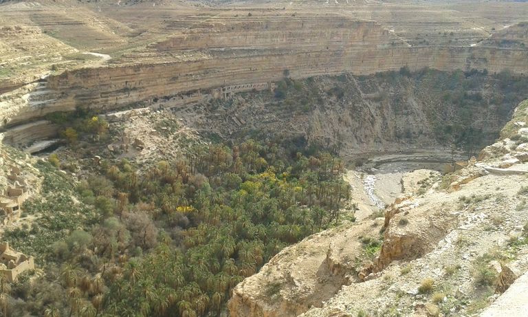 مدينة "غوفي" الجزائرية