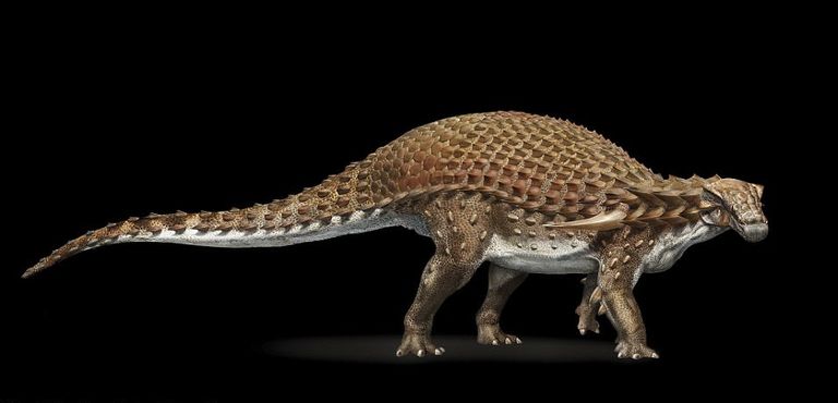 هيكل الديناصور 