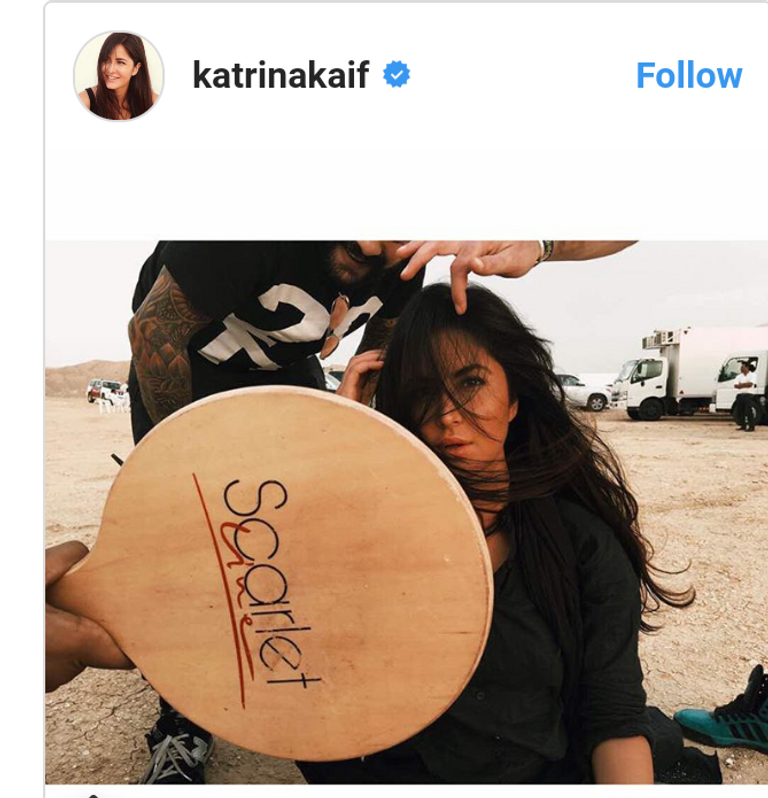 بالصور كاترينا كيف تصور "تايجر" في ابوظبي