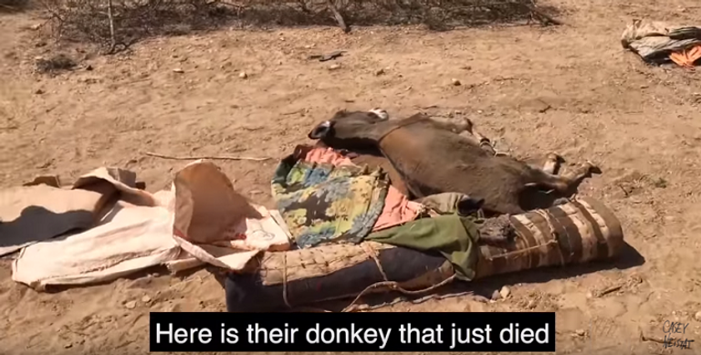 طائرة "جيش الحب" تصل الصومال