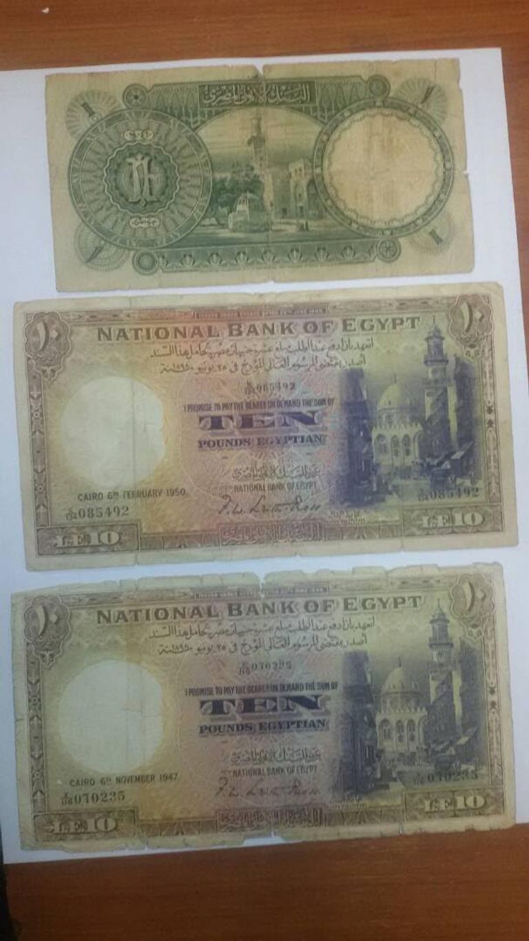 صورة للمضبوطات