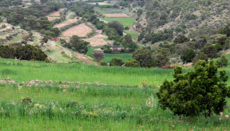 أمطار وبرق عسير ترسم لوحات جمالية