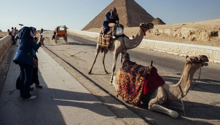 السياحة المصرية تتعافى 