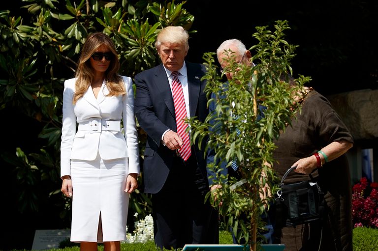 إيفانكا ترامب أمام حائط البراق