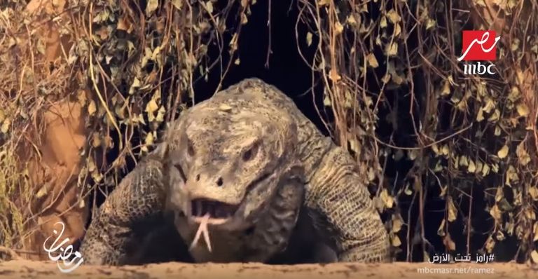 رامز جلال وضحاياه