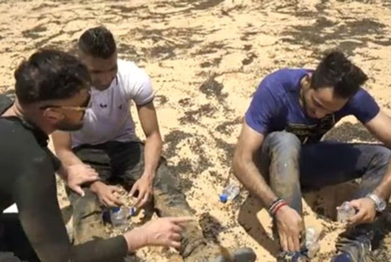 كهربا ومؤمن زكريا