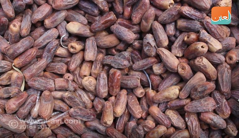 أنواع التمور على الموائد في رمضان