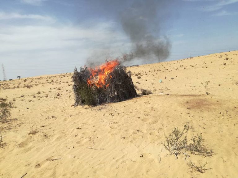 جانب من المشتبه بهم المضبوطين