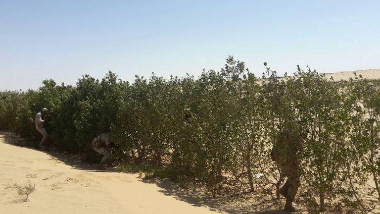 جانب من المشتبه بهم المضبوطين