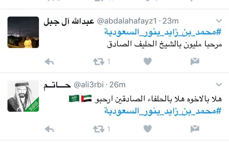 الملك سلمان ومحمد بن زايد