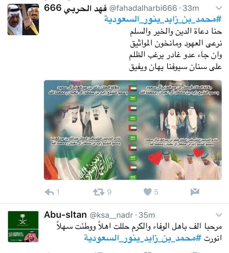 الملك سلمان ومحمد بن زايد