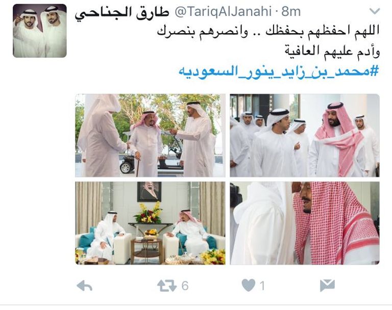 الملك سلمان ومحمد بن زايد