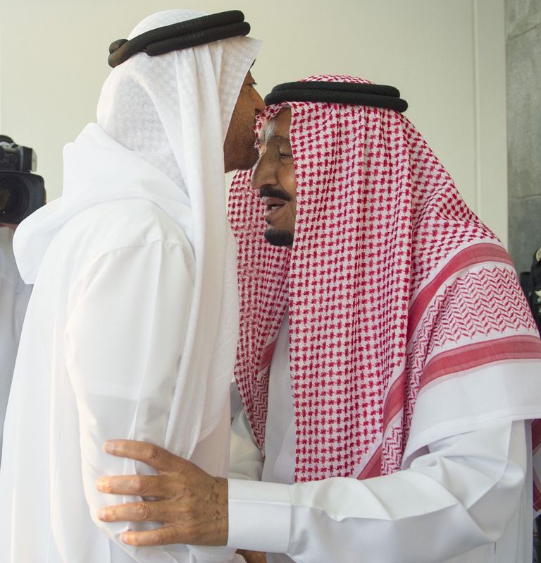 محمد بن زايد يجري مباحثات مع العاهل السعودي