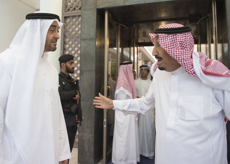 محمد بن زايد يجري مباحثات مع العاهل السعودي