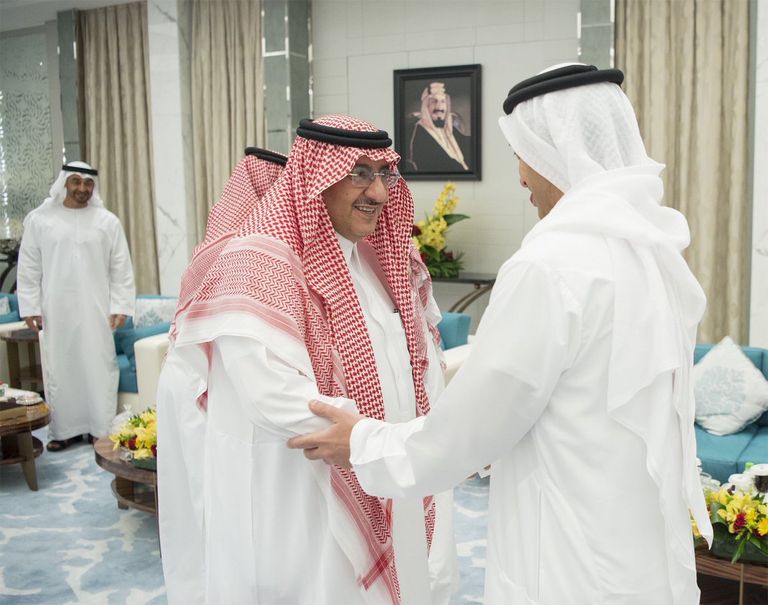 محمد بن زايد يجري مباحثات مع العاهل السعودي