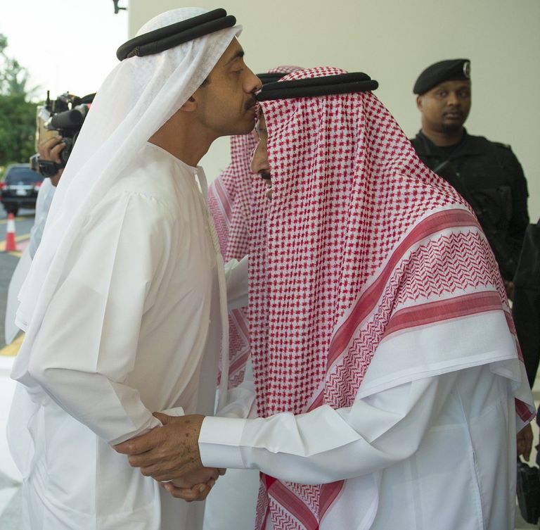 محمد بن زايد يجري مباحثات مع العاهل السعودي