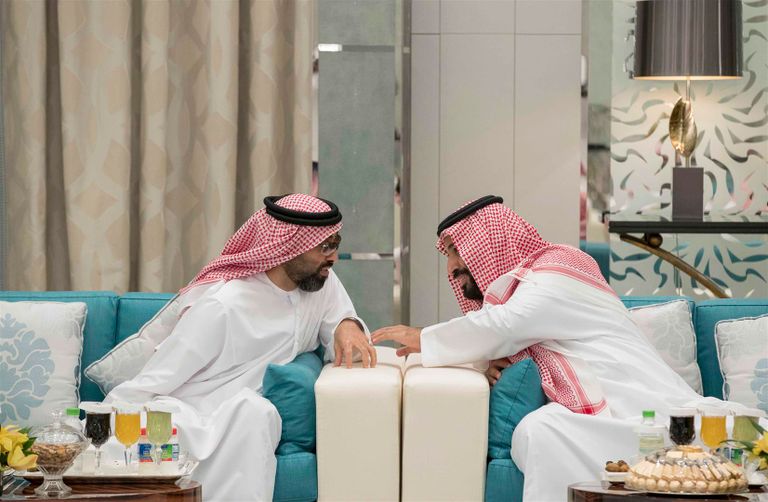 محمد بن زايد يجري مباحثات مع العاهل السعودي